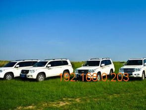 呼倫貝爾汽車租賃指南 哪里租車及行情價格解析